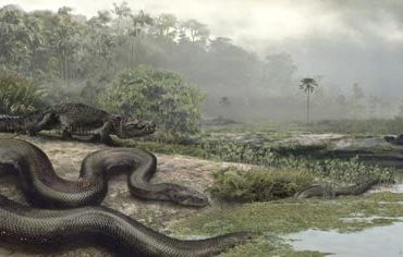Encuentran nueva serpiente gigante en la India