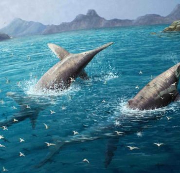 Descubren un salmón prehistórico