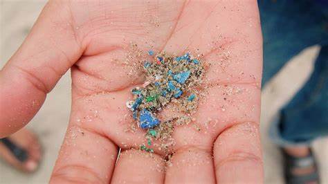 Encuentran microplásticos en testículos