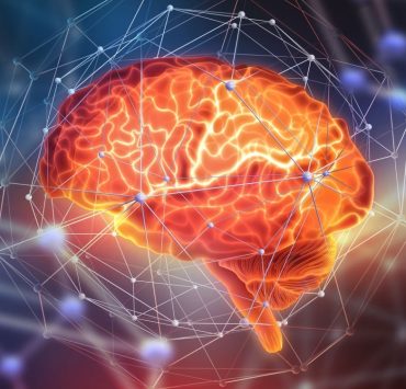 Harvard y Google mapean el cerebro