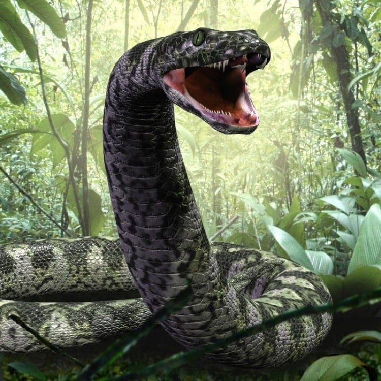 Encuentran nueva serpiente gigante en la India