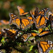 El Santuario Piedra Herrada