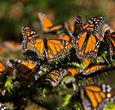El Santuario Piedra Herrada