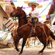 La Feria Internacional del Caballo.