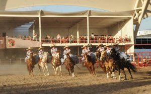 Charreadas, jaripeos, rodeos y doma de caballos.