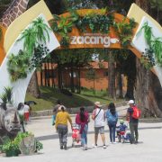 El Zoológico de Zacango.