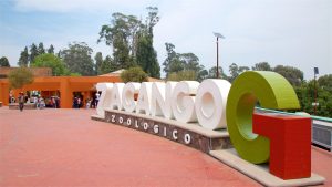 El Zoológico de Zacango.