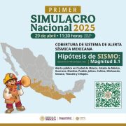 Simulacro