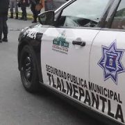 Seguridad Pública