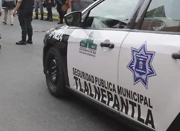 Seguridad Pública