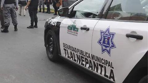 Seguridad Pública