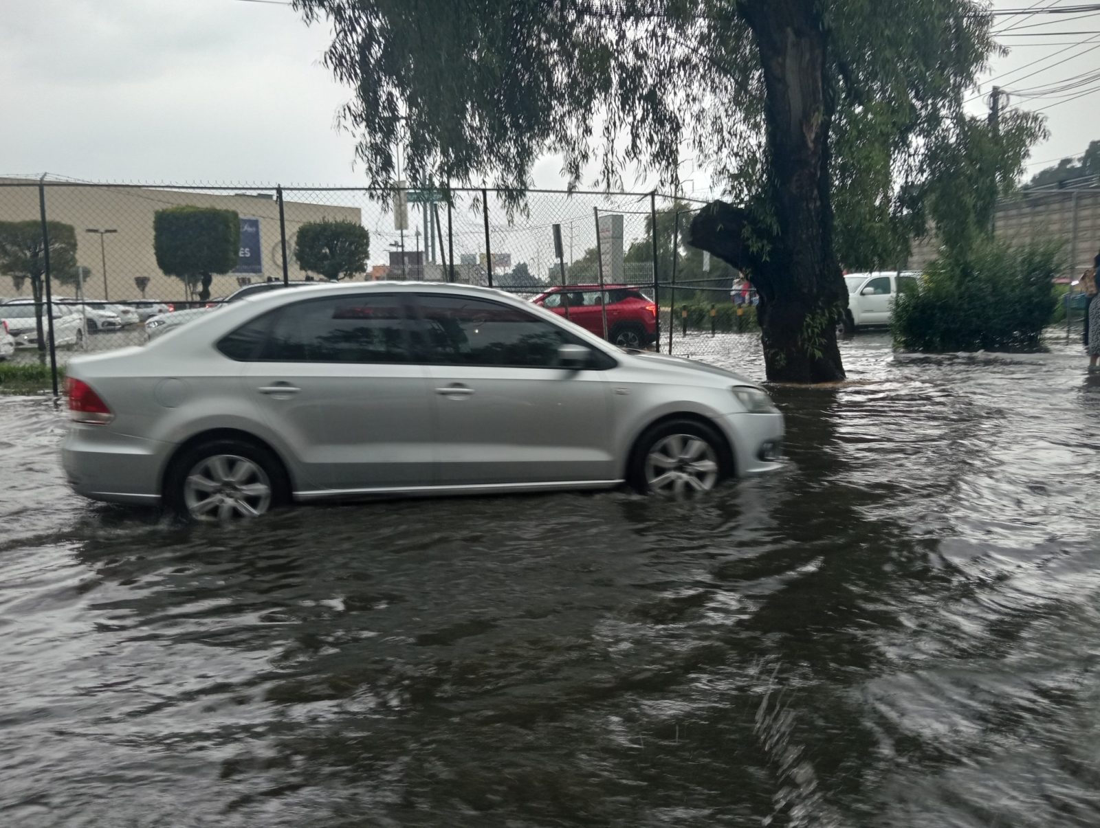 pronostican lluvias