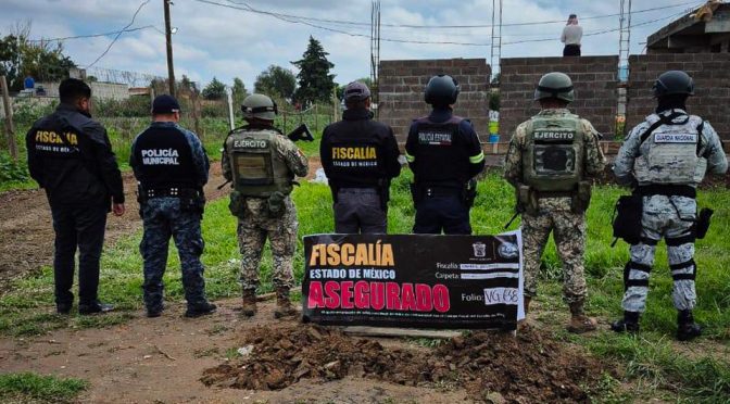 Operativo restitución