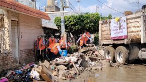 Las y los brigadistas yucatecos trabajan intensamente en las comunidades más afectadas