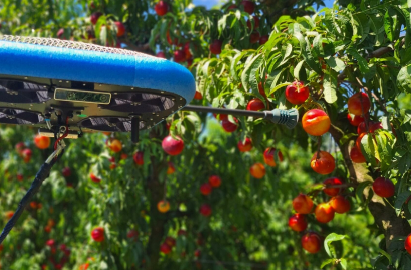 Granjas sin humanos, la automatización llega al campo gracias a los drones