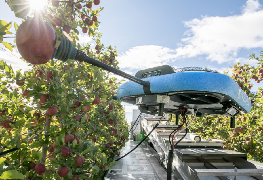 ¿Qué significa esto para el futuro del trabajo agrícola?