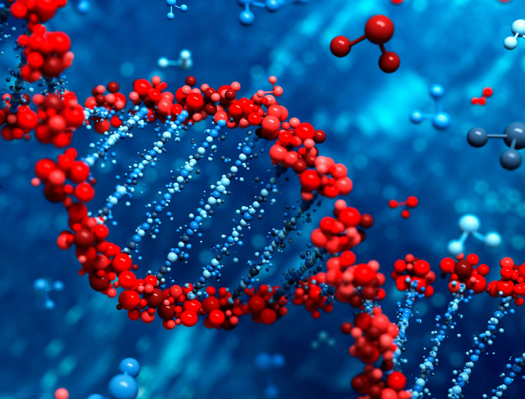 El cannabis cambia tu ADN según reciente estudio y afecta negativamente tu cerebro