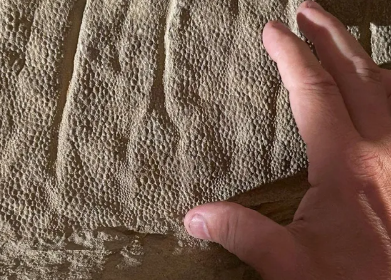 La importancia de este descubrimiento