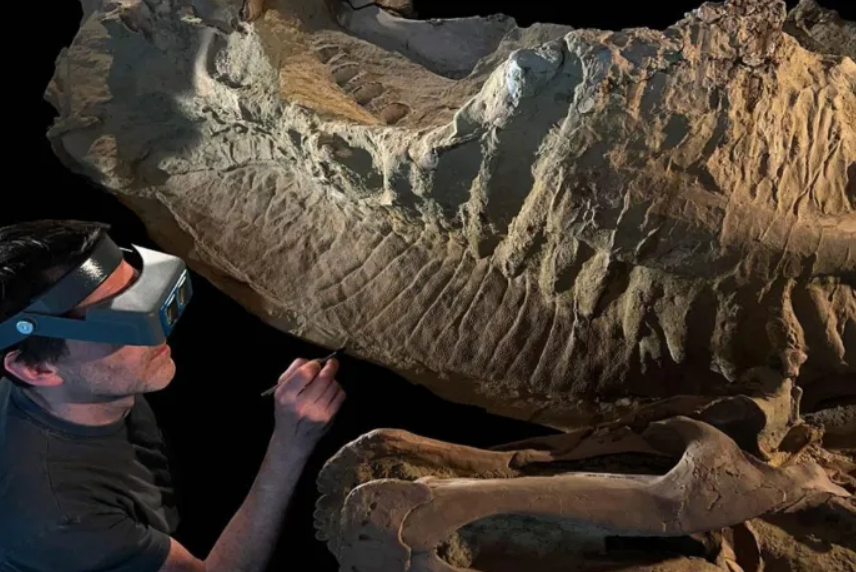 Herramientas modernas revelan detalles sorprendentes