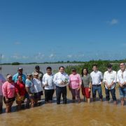 El rescate verde de Yucatán: una estrategia sin precedentes para sus ecosistemas costeros