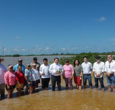 El rescate verde de Yucatán: una estrategia sin precedentes para sus ecosistemas costeros