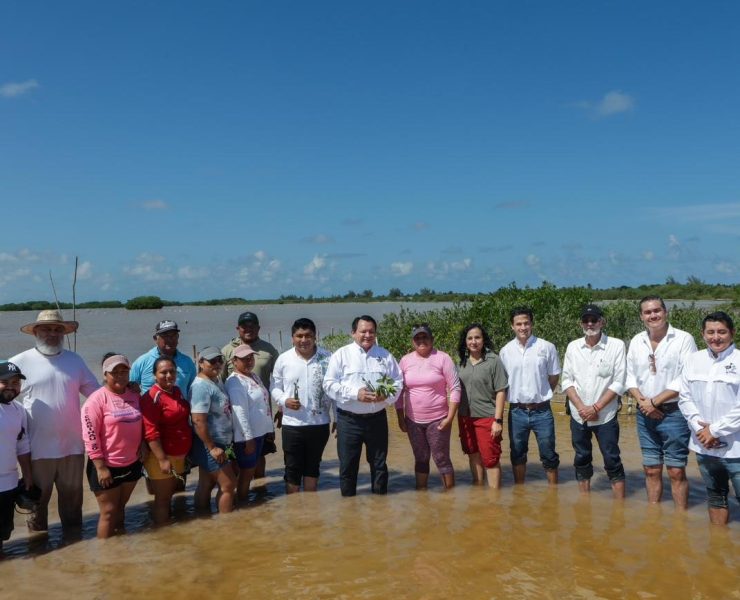 El rescate verde de Yucatán: una estrategia sin precedentes para sus ecosistemas costeros