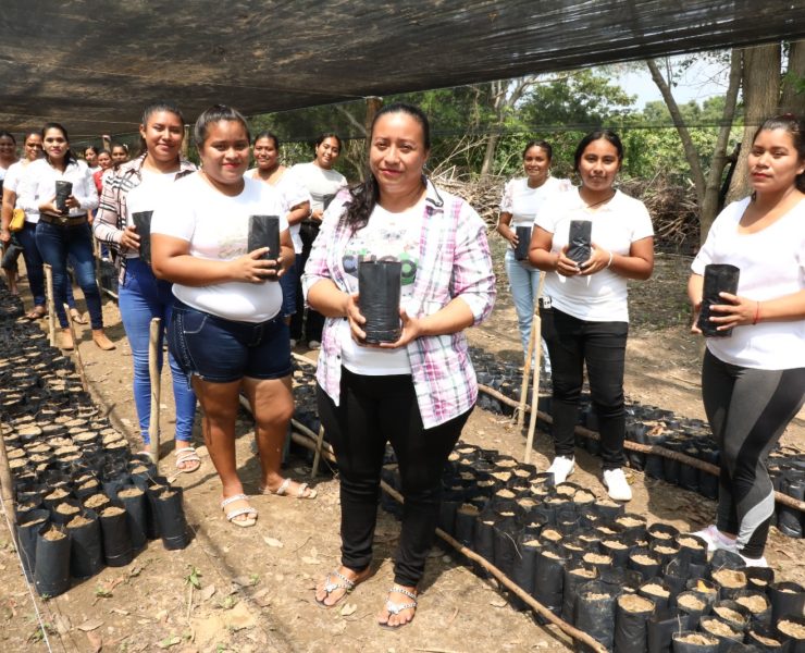 Sembrando Vida, el Milagro Tabasqueño