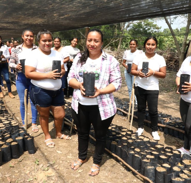 Sembrando Vida, el Milagro Tabasqueño