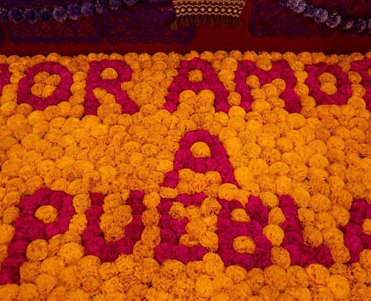 Puebla fortalece su liderazgo nacional en la producción de flor de cempasúchil y terciopelo