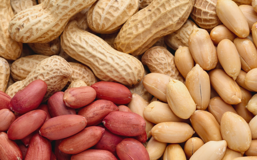 ¿Comer cacahuates previene alergias? Un estudio en bebés para demostrar que si