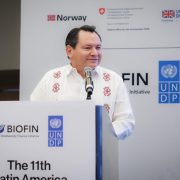 Renacimiento Verde: Yuctán ejemplo regional de desarrollo sustentable y protección de la biodiversidad