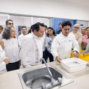 Yucatán a la vanguardia en estrategias para frenar la transmisión el dengue, zika y chikungunya