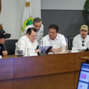  Yucatán actúa estrategia total contra el gusano barrenador