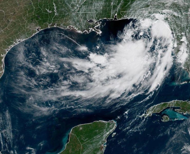 blank