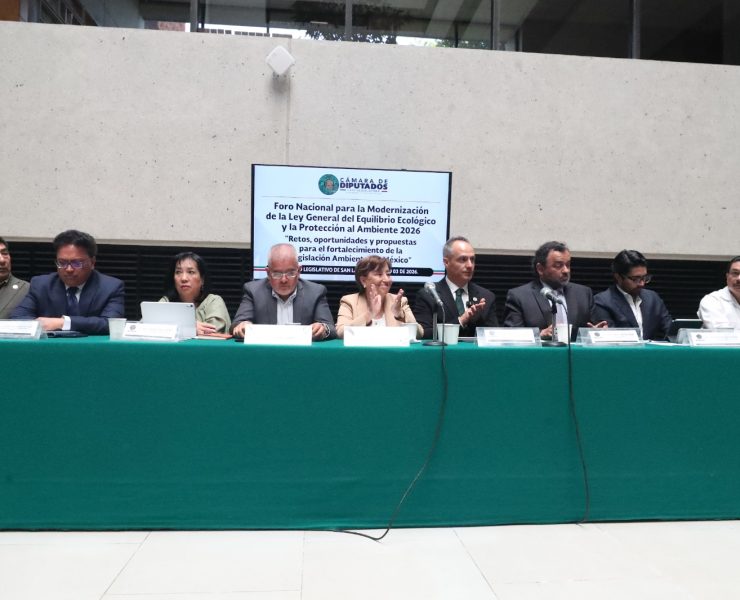 blank