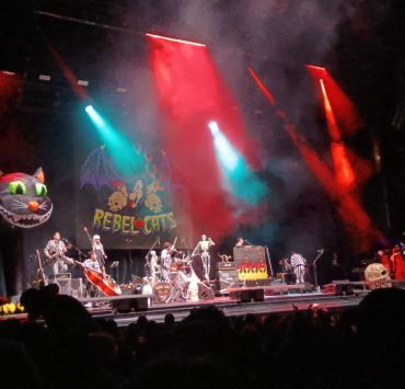 blank